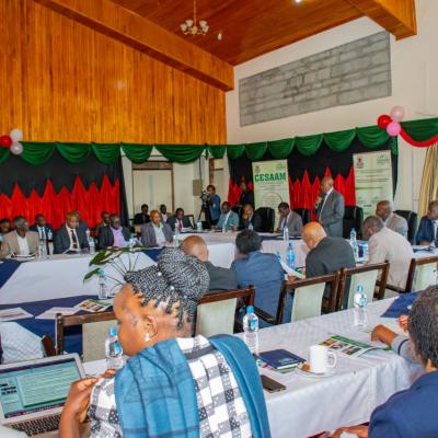Cesaam Steering Committee 17