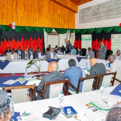 Cesaam Steering Committee 19