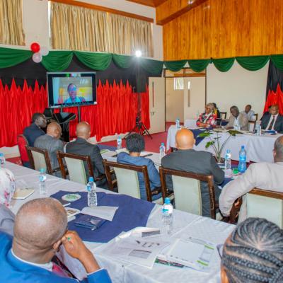 Cesaam Steering Committee 29