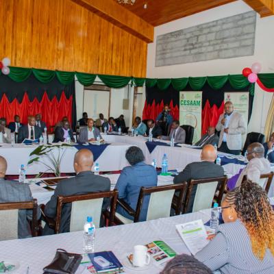 Cesaam Steering Committee 31