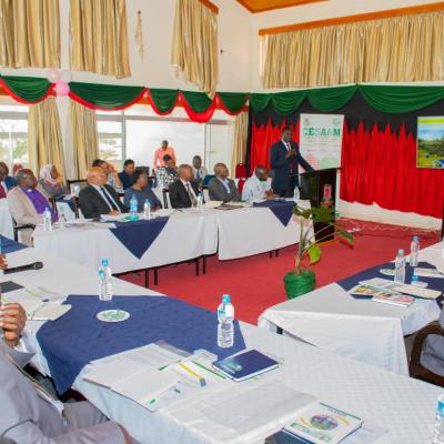 Cesaam Steering Committee 35