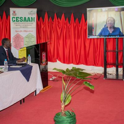 Cesaam Steering Committee 41