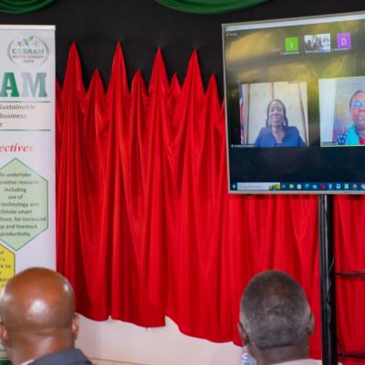 Cesaam Steering Committee 42