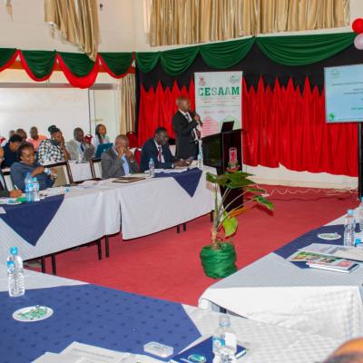 Cesaam Steering Committee 45