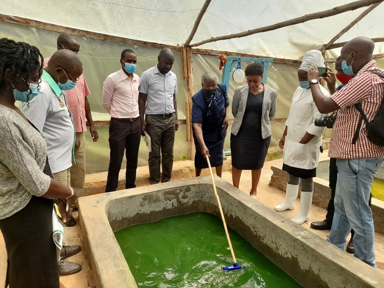 CESAAM, CREATES and MMUST collaborate on Spirulina Project. 
